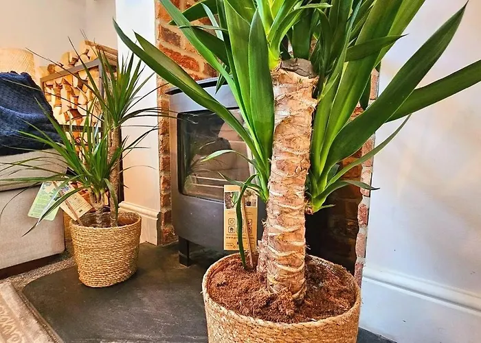 Casa de Férias Stunning Terraced House Next To Racecourse York